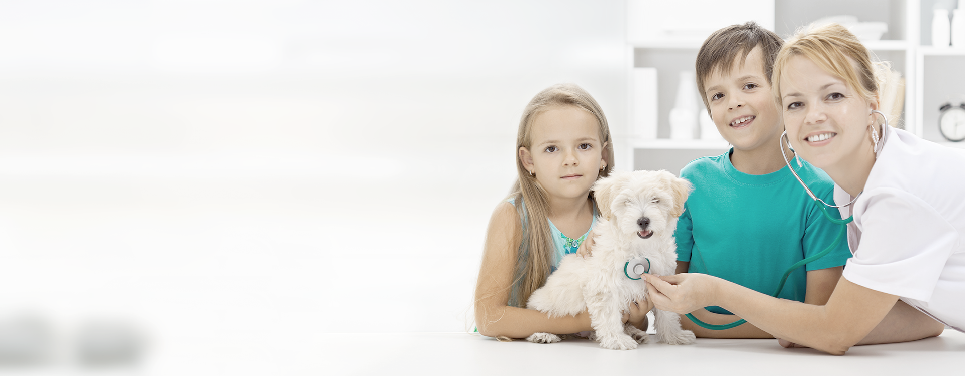 Vasi Ljubimci To Zasluzuju