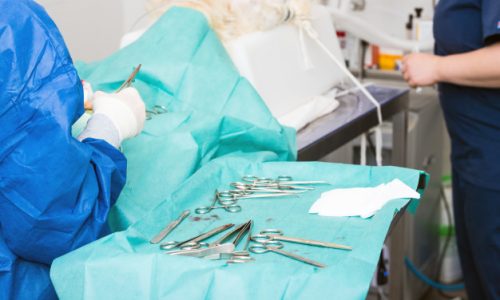 Priprema za operaciju psa